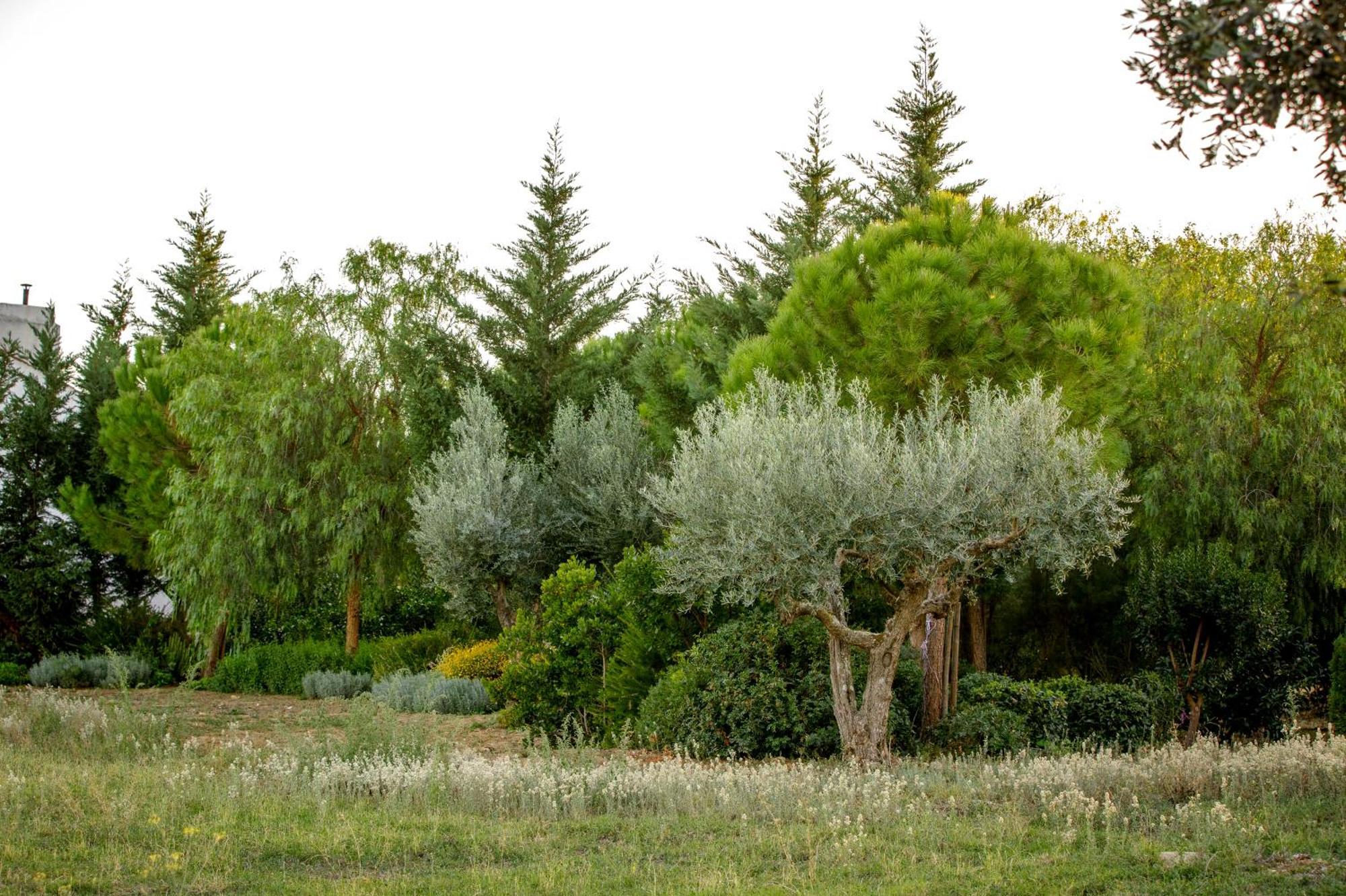 Monte Da Hortinha Villa Estremoz Ngoại thất bức ảnh
